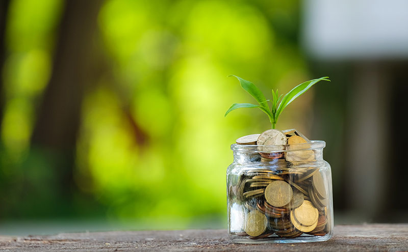 Ökologie und Ökonomie